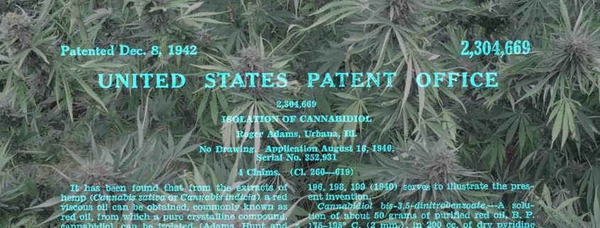 Cannabis patent and CBD hemp plants