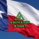 Is delta-8 legal in Texas, Texas state flag, Earthy Select logo