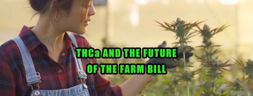 THCa and the future of the Farm Bill. Earthy Select