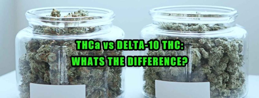 Jars of high THCa flower. THCa vs Delta-10 THC, What's the difference?