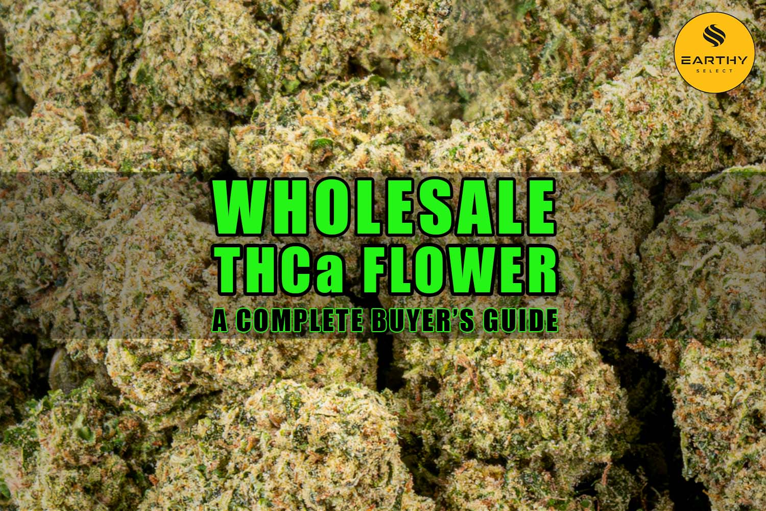 Wholesale THCa Flower: A Complete Buyer's Guide | Earthy Select