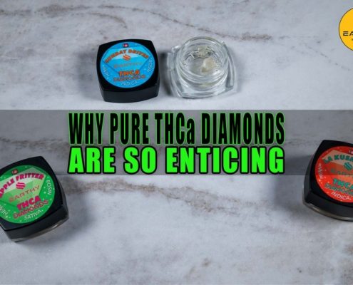 Why Pure THCa Diamonds Are So Enticing | Earthy Select