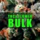 Where to Purchase the Best THCa Flower Bulk | Earthy Wholesale