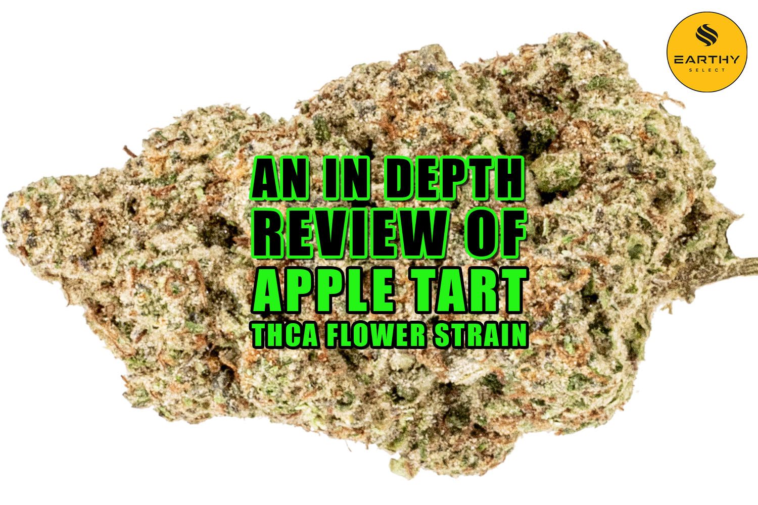 An In-depth Review of Apple Tart THCa Flower Strain. Earthy Select