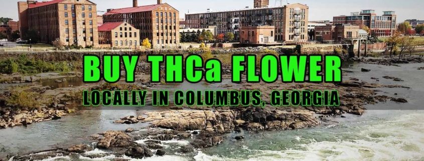 Buy THCa Flower Locally In Columbus, Georgia. Earthy Select THCa