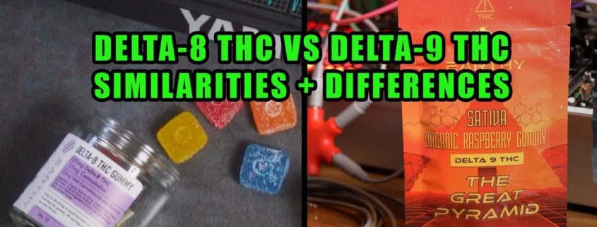 Delta-8 THC vs Delta-9 THC - Similarities and differences. Earthy Select Delta-8 THC 100mg Gummies and Delta-9 THC Great Pyramid 50mg Gummy