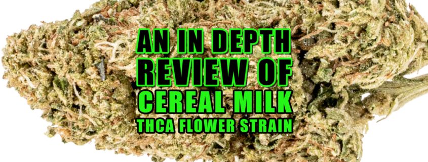An In-depth Review of Cereal Milk THCa Flower Strain. Earthy Select