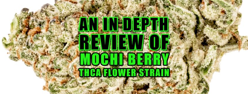 An In-depth Review of Mochi Berry THCa Flower Strain. Earthy Select