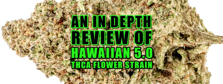 An In-depth Review of Hawaiian 5.0 THCa Flower Strain. Earthy Select