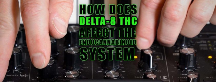 How Does Delta-8 THC Affect the Endocannabinoid System? Earthy Select Cherry Pie Delta-8 Vape Pen