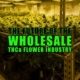 The Future of the Wholesale THCa Flower Industry | Earthy Select Wholesale