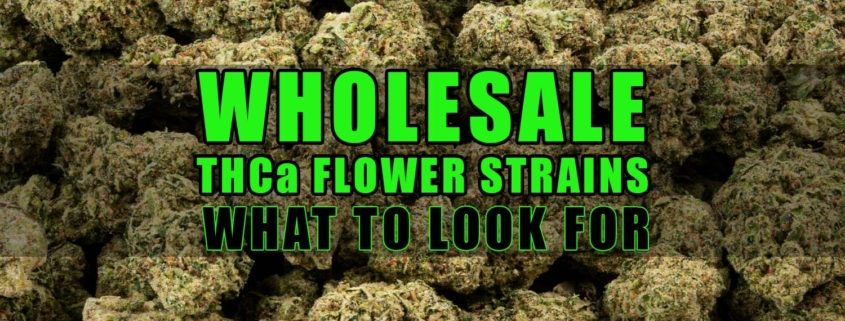Wholesale THCa Flower Strains: What to Look For | Earthy Select Wholesale