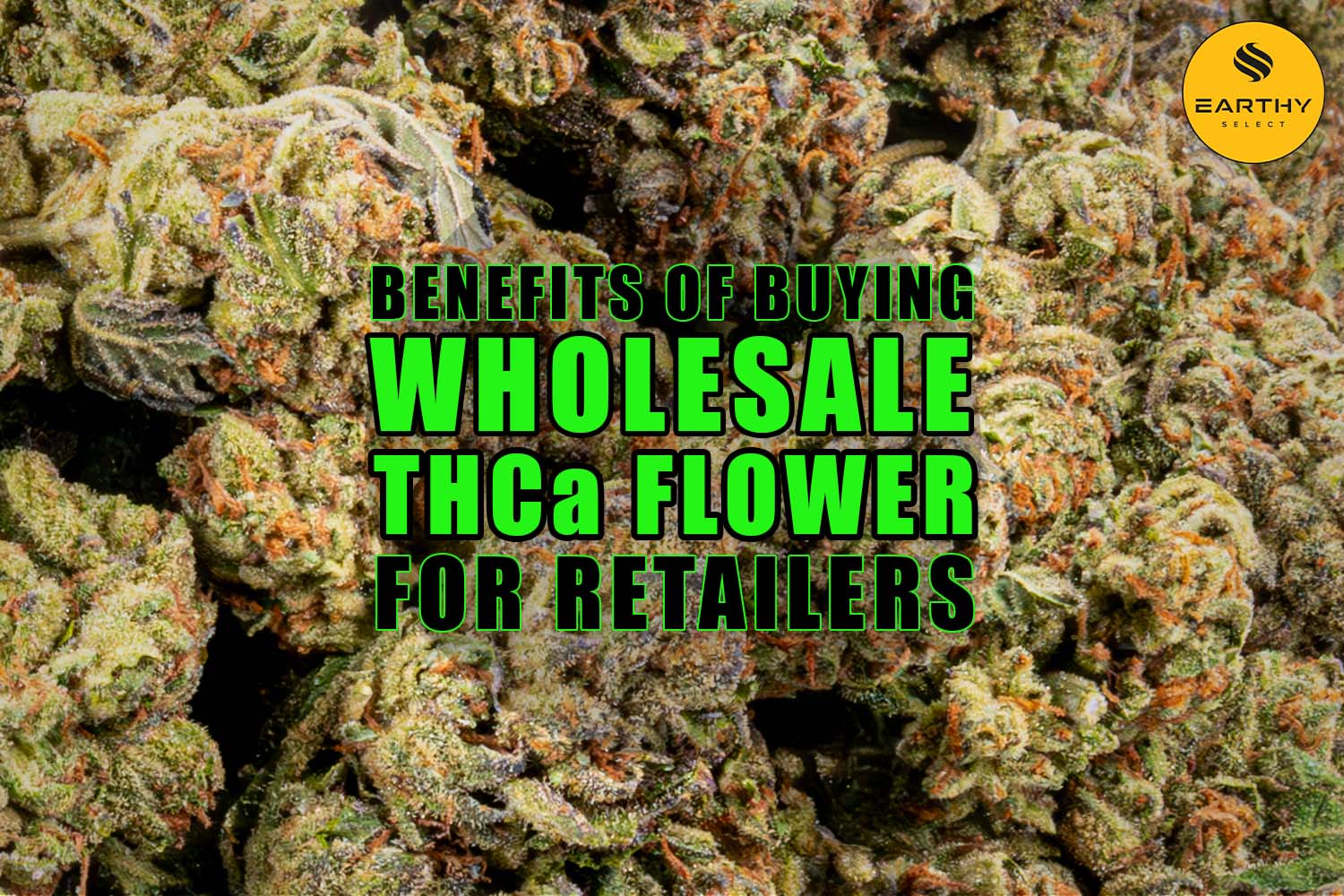 Benefits of Buying Wholesale THCa Flower for Retailers | Earthy Wholesale