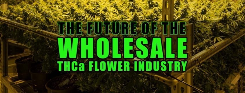 The Future of the Wholesale THCa Flower Industry | Earthy Select Wholesale