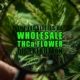 The Legalities of Wholesale THCa Flower Distribution | Earthy Select