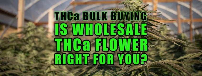 THCa Bulk Buying: Is Wholesale THCa Flower Right for You? | Earthy Select Wholesale
