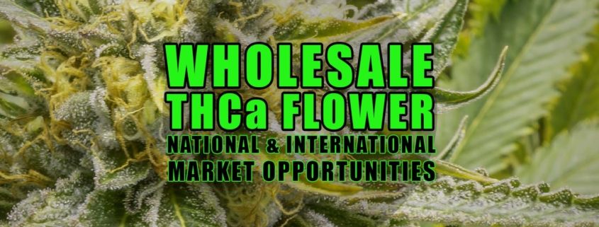 Wholesale THCa Flower: National And International Market Opportunities | Earthy Select Wholesale