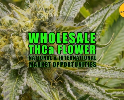 Wholesale THCa Flower: National And International Market Opportunities | Earthy Select Wholesale