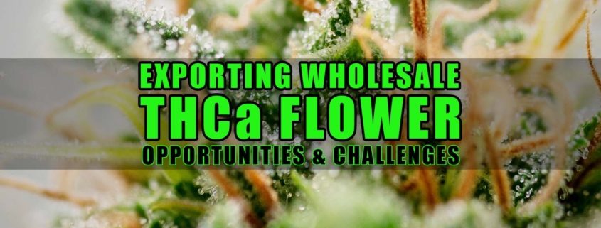 Exporting Wholesale THCa Flower: Opportunities and Challenges | Earthy Wholesale