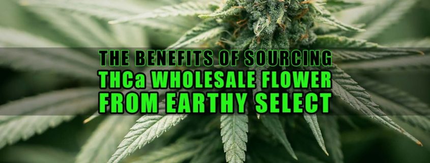 The Benefits of Sourcing THCa Wholesale Flower from Earthy Select