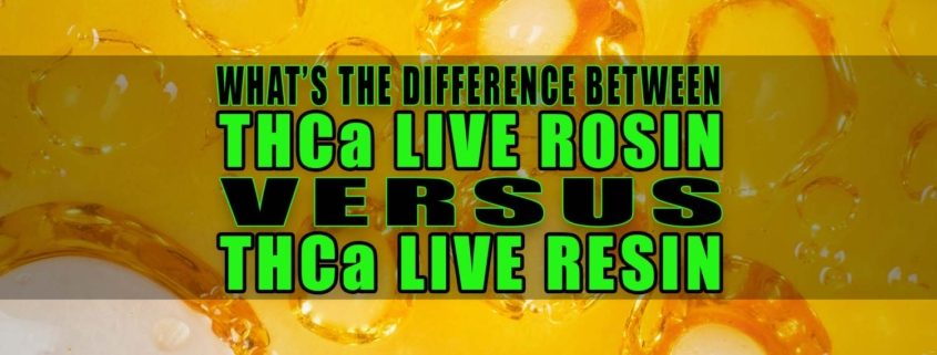 What's the Difference Between THCa Live Rosin versus THCa Live Resin? | Earthy Select
