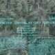 Cannabis patent and CBD hemp plants