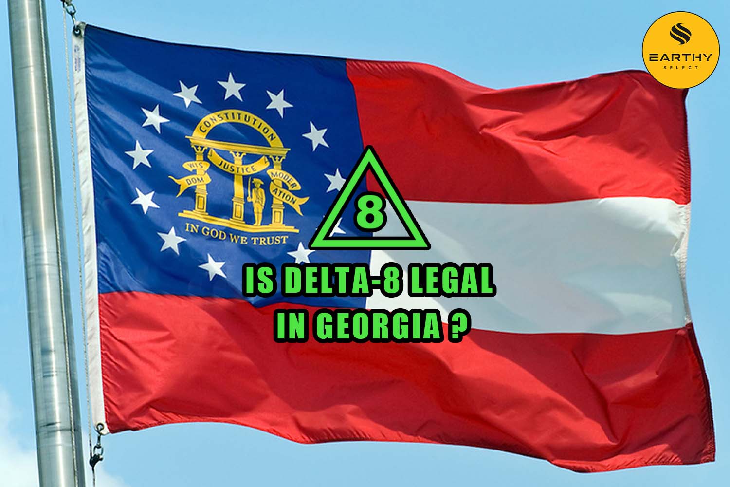 Is Delta-8 Legal in Georgia flag