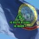 Is Delta-8 Legal in Idaho flag