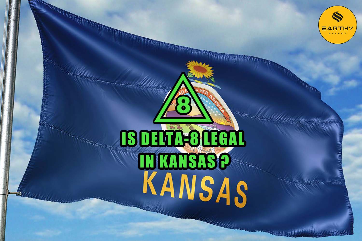 Is Delta-8 Legal in Kansas flag