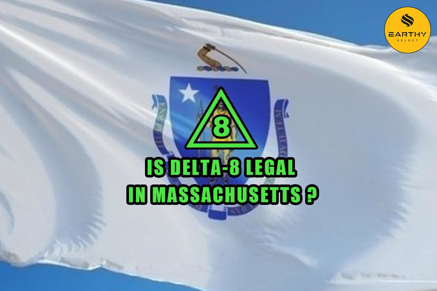 Is Delta-8 Legal in Massachusetts flag