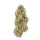 Amnesia Haze Delta-8 THC Cryo Flower Pound
