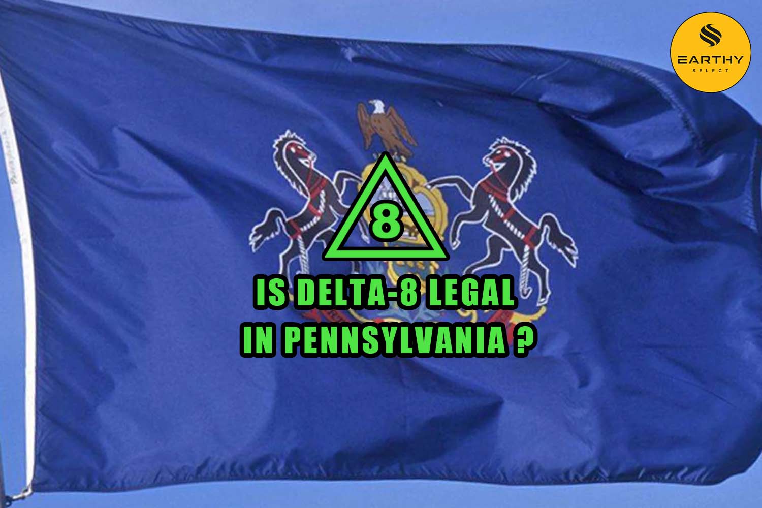 Is Delta 8 Legal in Pennsylvania flag Earthy Select logo