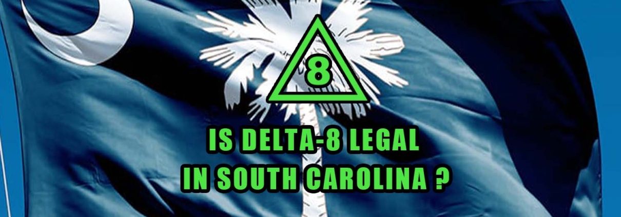 Is Delta-8 Legal in South Carolina flag and Earthy Select logo