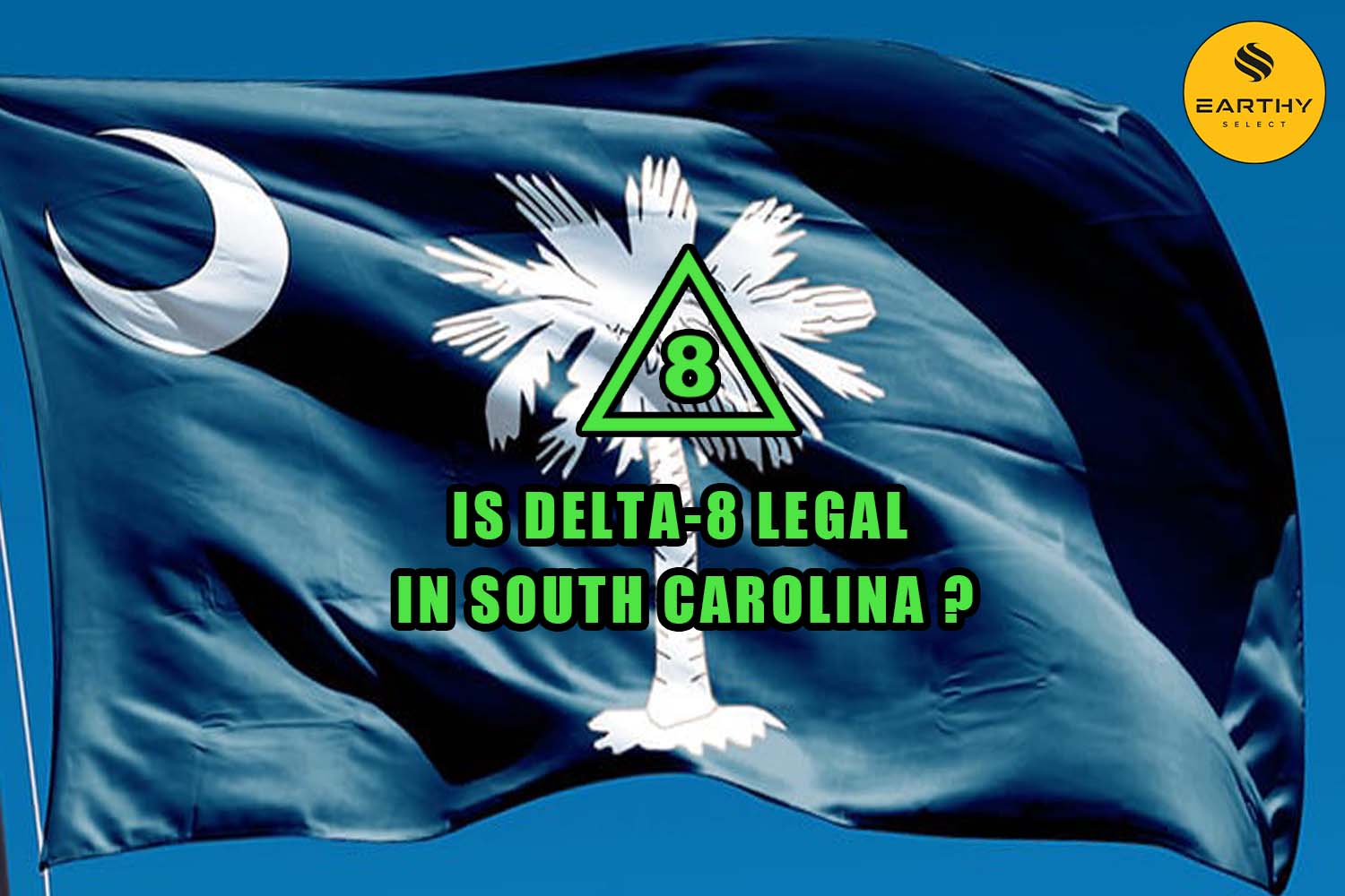 Is Delta-8 Legal in South Carolina flag and Earthy Select logo