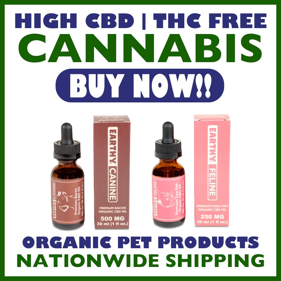 Earthy Now THC free pet CBD oil