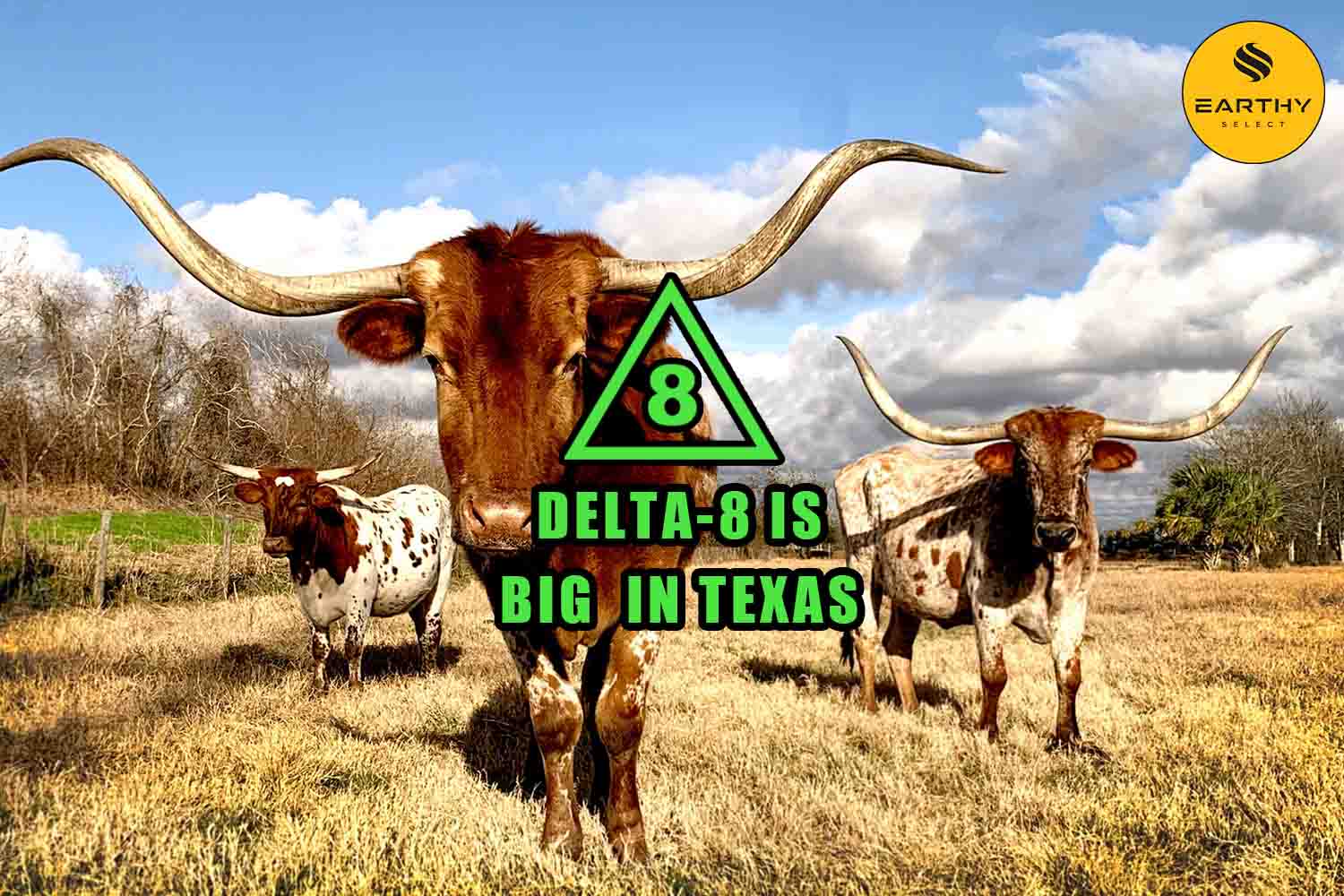 Delta-8 and Texas longhorns Earthy Select logo