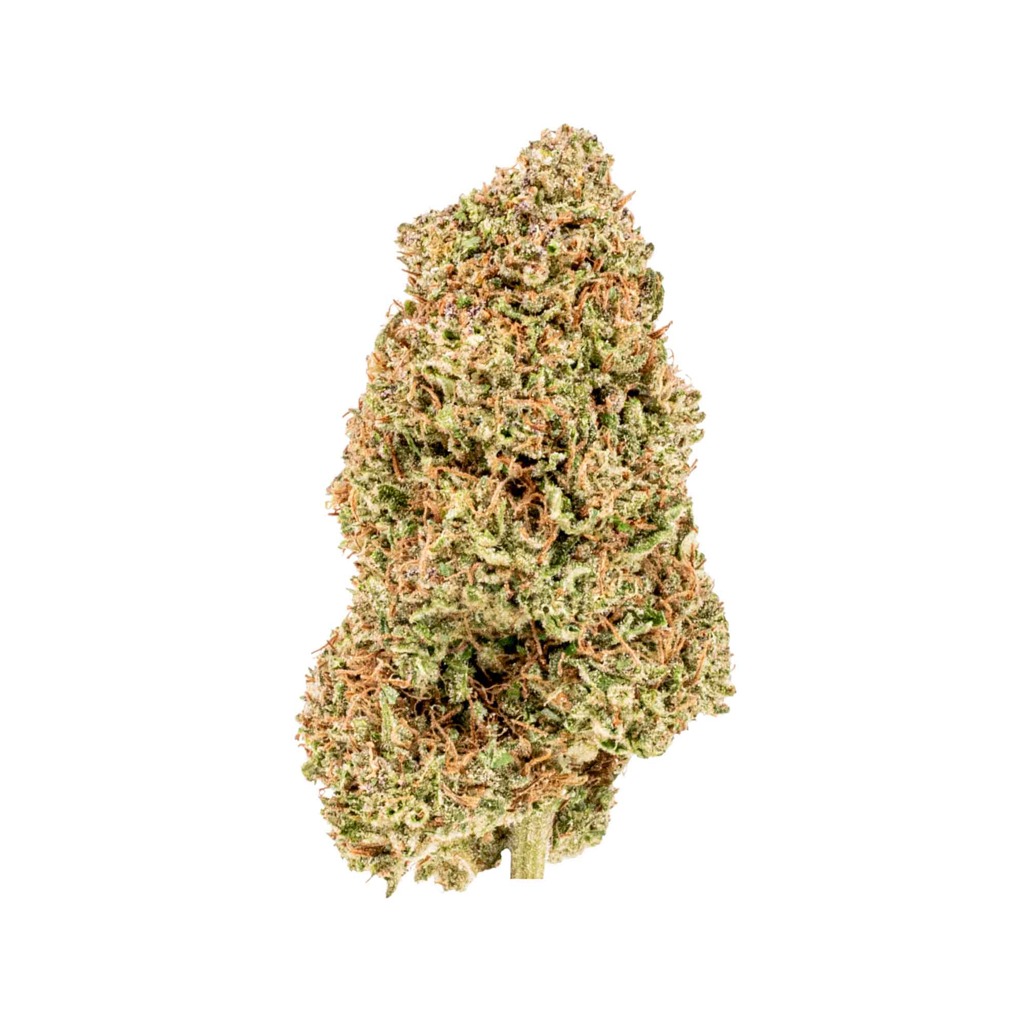 Apple Fritter AAA THCa Flower strain from Earthy Select