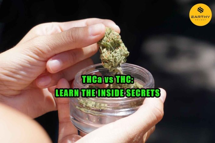 THCa vs THC: Learn the Inside Secrets. Hand holding jar of high THCa Flower and examining THCa flower bud. Earthy Select