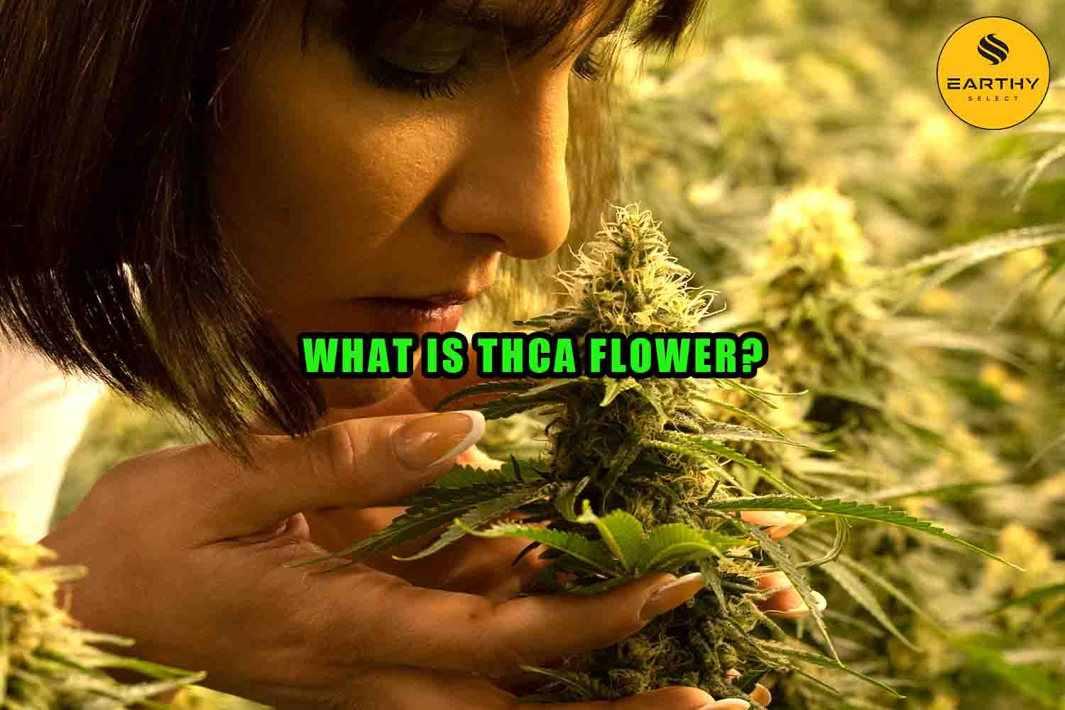 What is THCa flower? Earthy Select. A woman smells high THCa hemp flower. Cannabis in background.