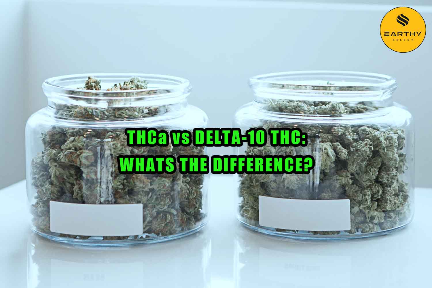 Jars of high THCa flower. THCa vs Delta-10 THC, What's the difference?