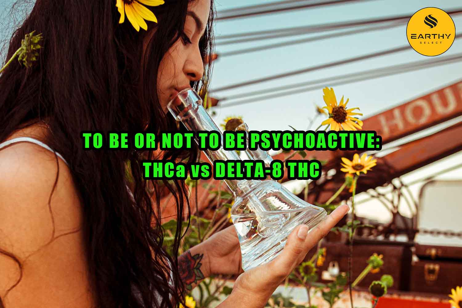 Woman smoking high THCa flower in a water pipe. To be or not to be psychoactive, THCa vs Delta-8 THC