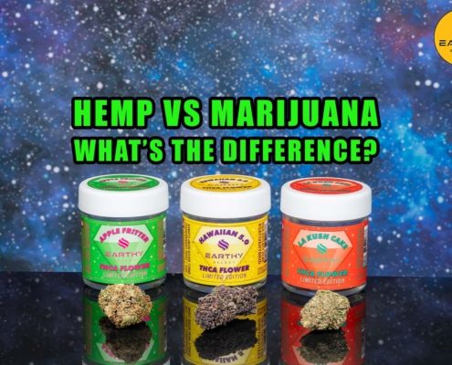 Hemp vs marijuana - what's the difference? Earthy Select. THCa flower: Apple Fritter, Hawaiian 5.0, LA Kush Cake