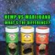 Hemp vs marijuana - what's the difference? Earthy Select. THCa flower: Apple Fritter, Hawaiian 5.0, LA Kush Cake