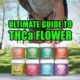 The Ultimate Guide to THCa Flower. Earthy Select strains