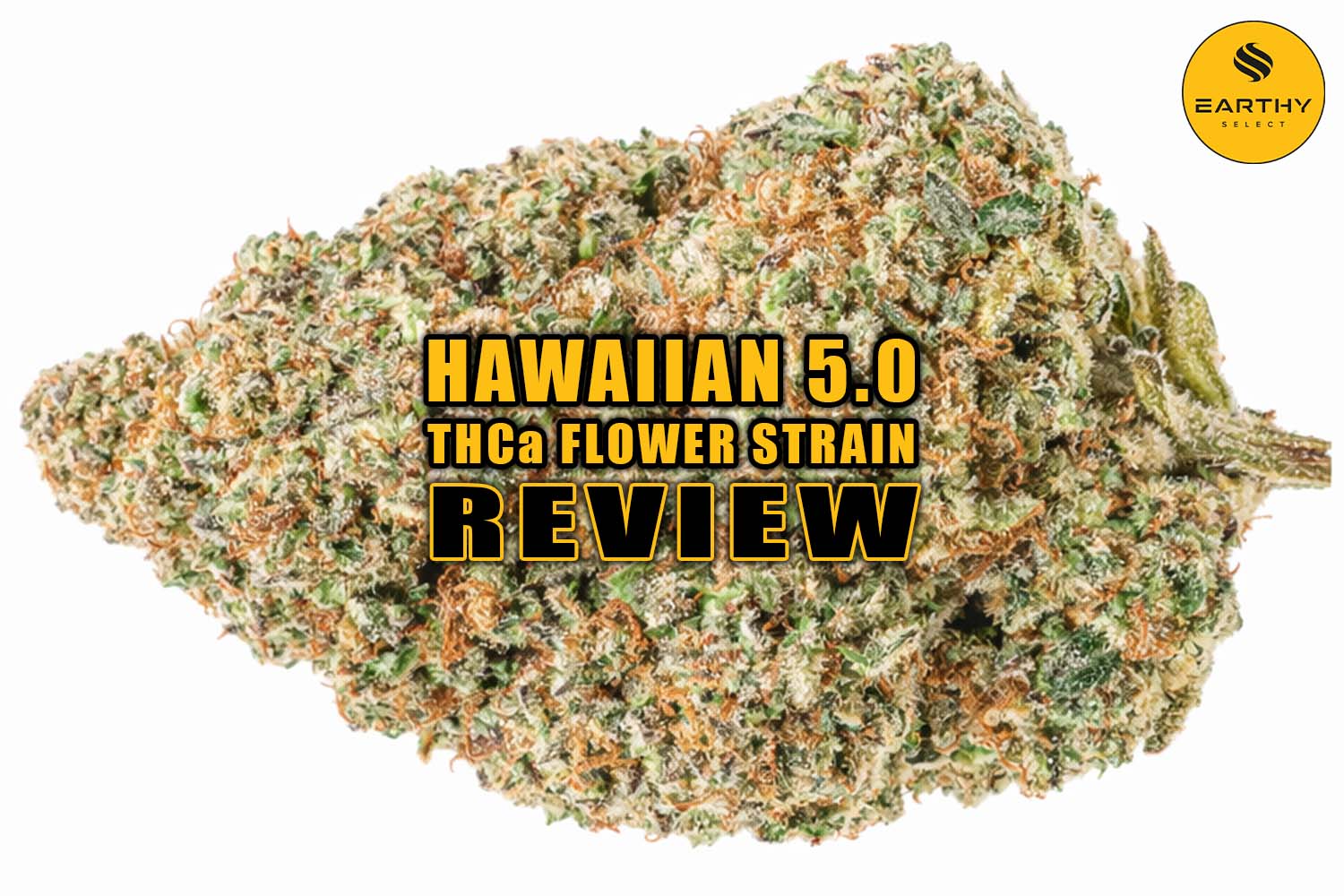 Hawaiian 5.0 THCa Flower Strain Review