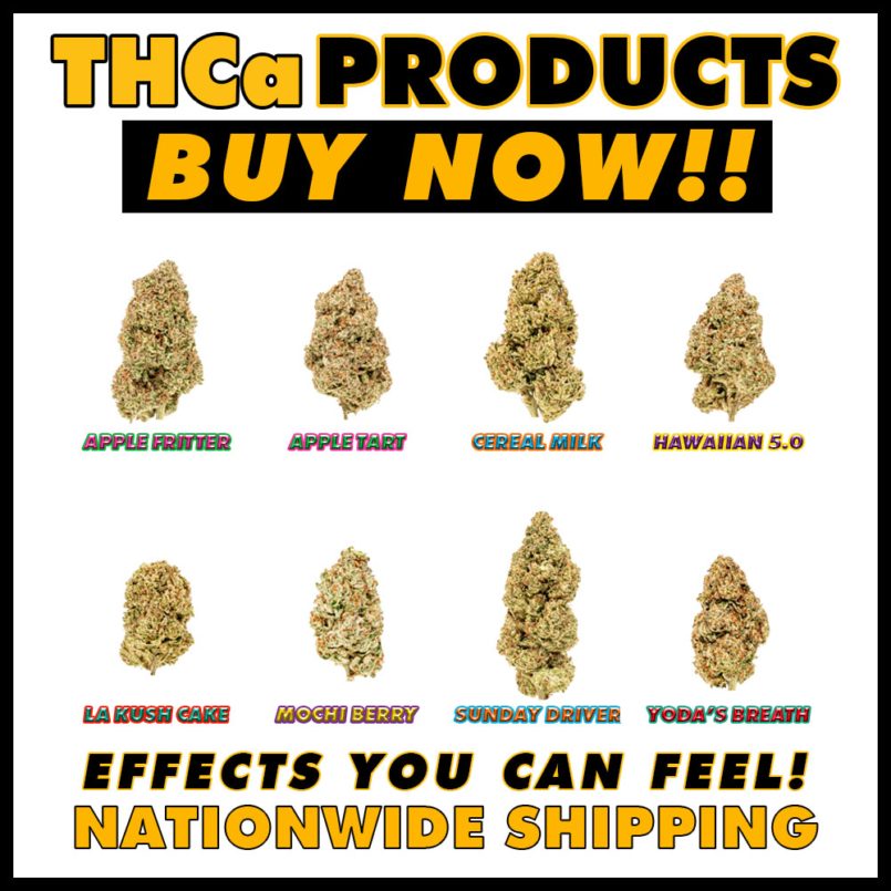 An InDepth Review of LA Kush Cake THCa Flower Strain Earthy Select