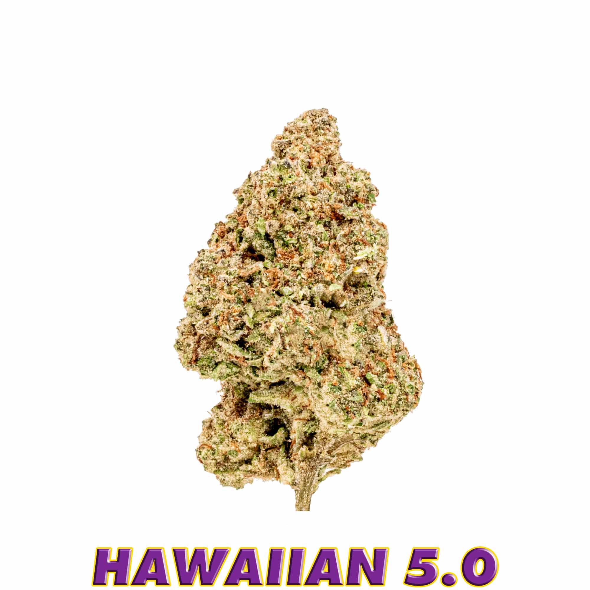 AAA - Hawaiian 5.0