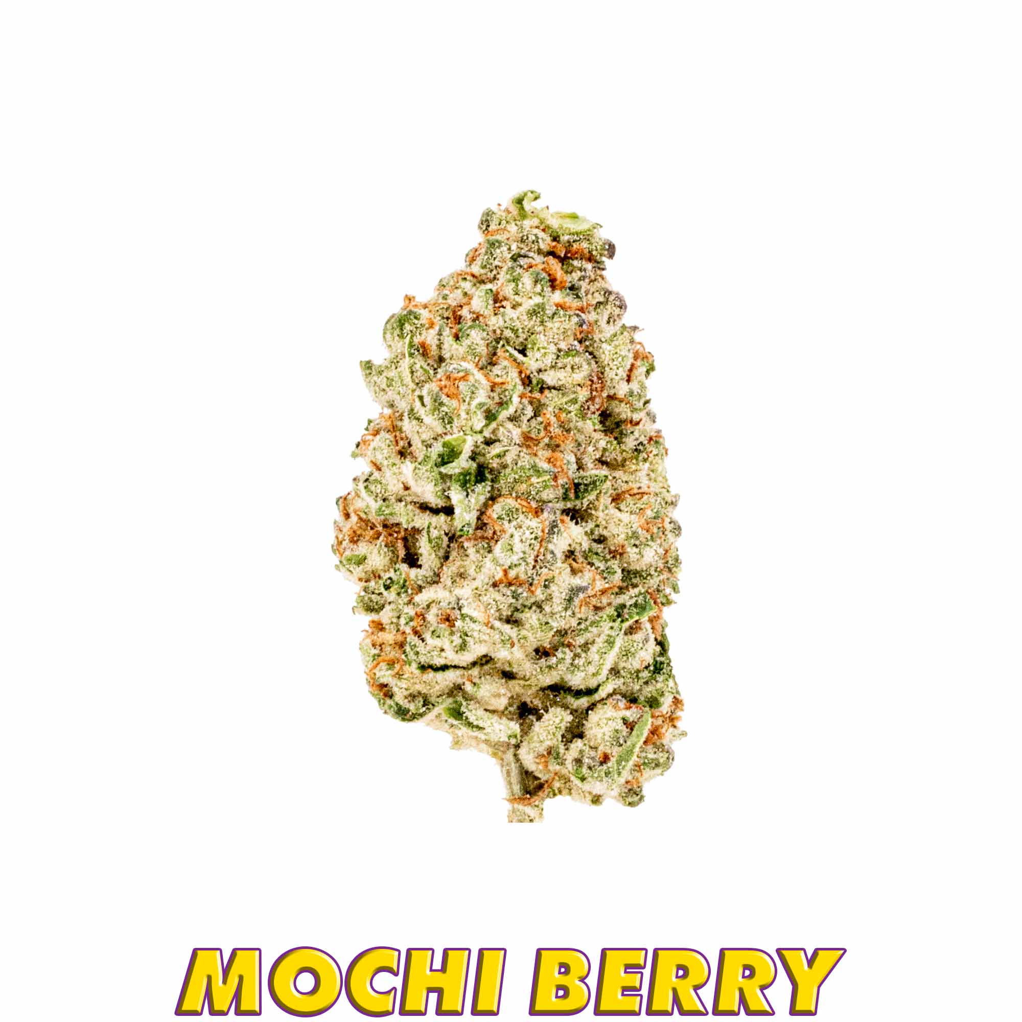 AAA - Mochi Berry