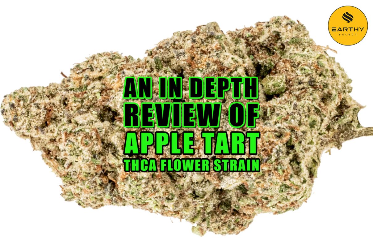 An InDepth Review of Apple Tart THCa Flower Strain Earthy Select