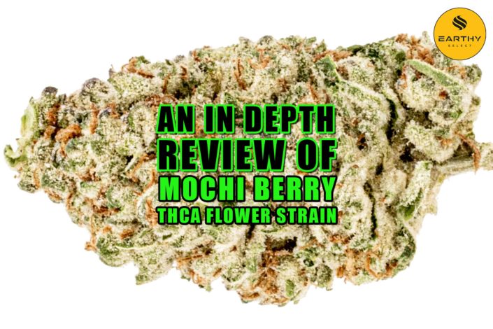 An In-depth Review of Mochi Berry THCa Flower Strain. Earthy Select